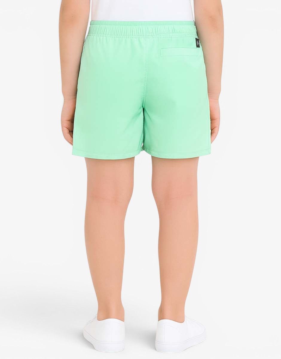 Adidas Logo Clx Swim Shorts Green