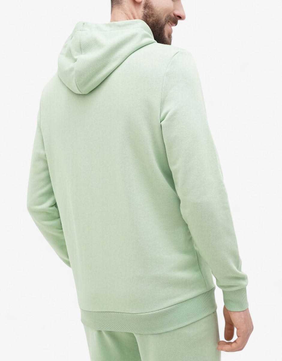 PUMA Essentials+ 2 Color Logo Hoodie Green