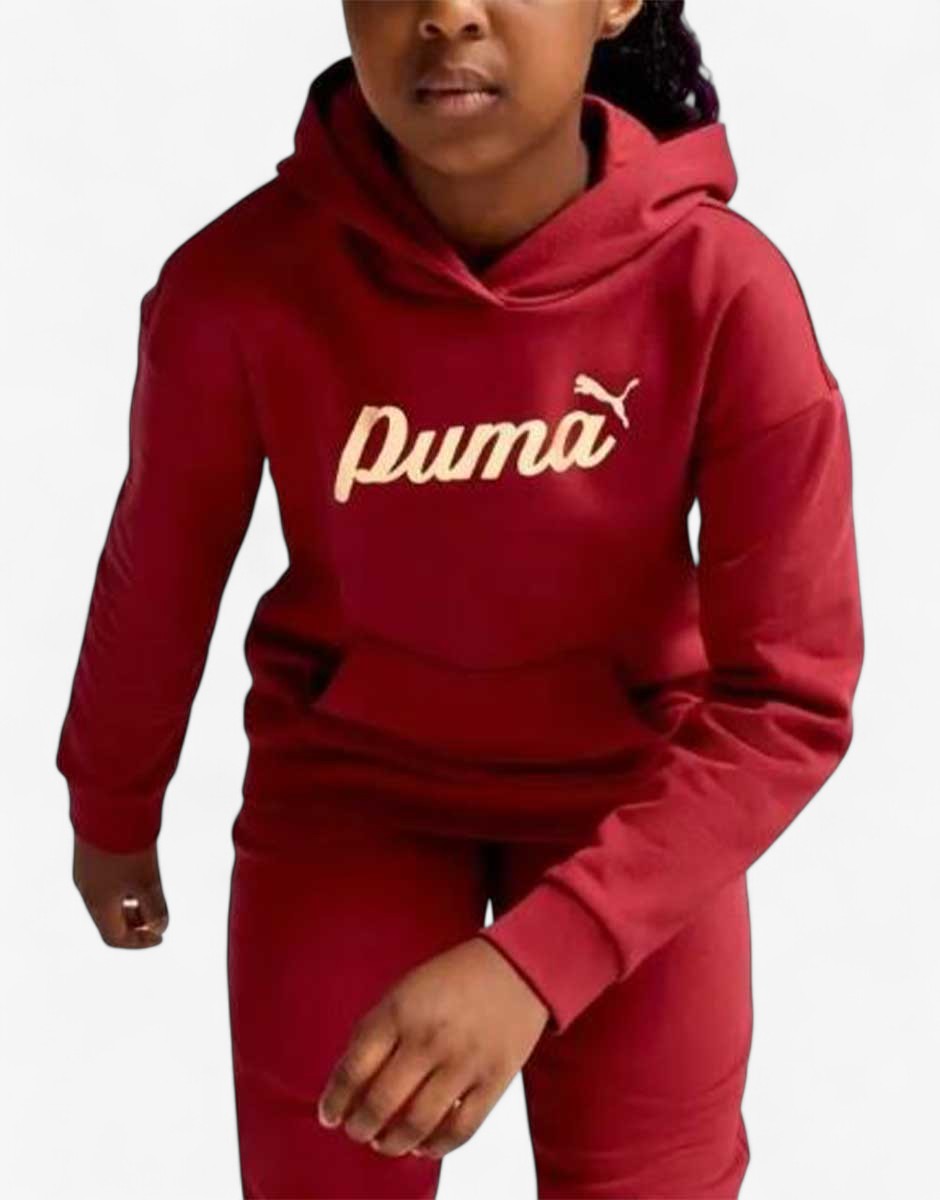 PUMA Essentials  Script Metallic Hoodie Red