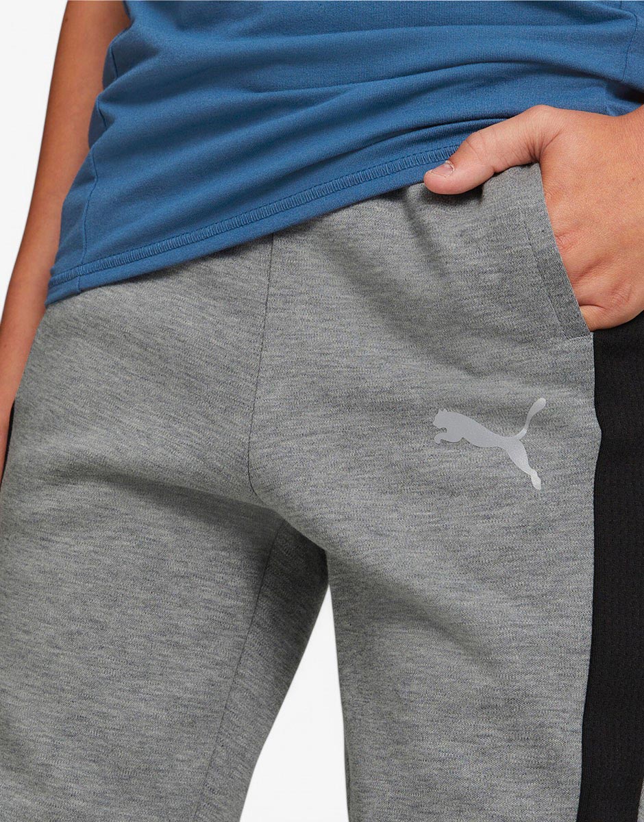  PUMA Evostripe Pants Grey B