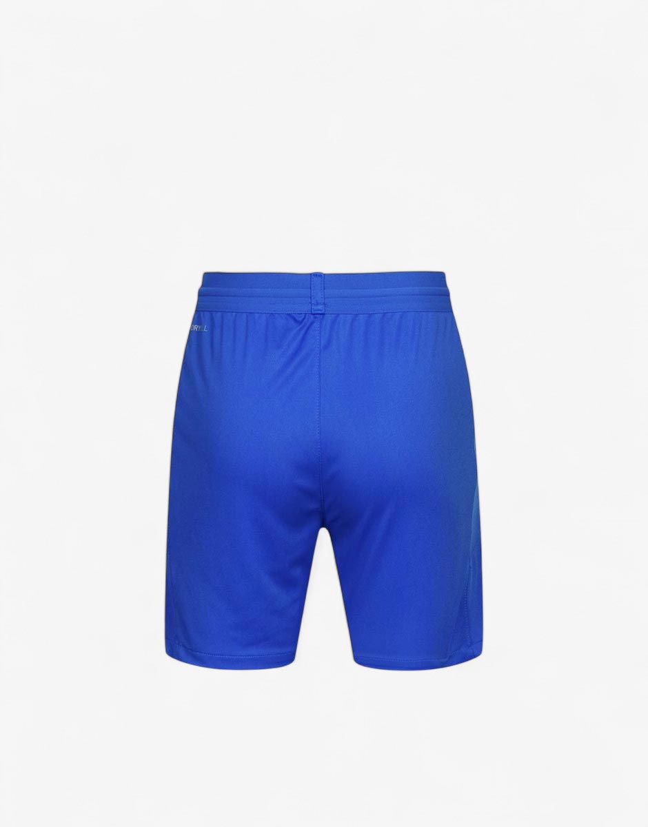 PUMA TeamFINAL 21 Knit Shorts Blue