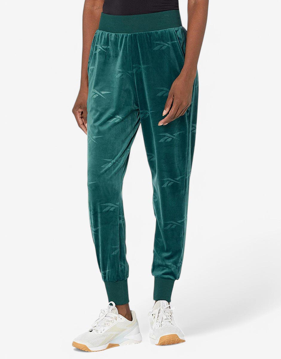 REEBOK Classics Energy Q4 Velour Pants Teal