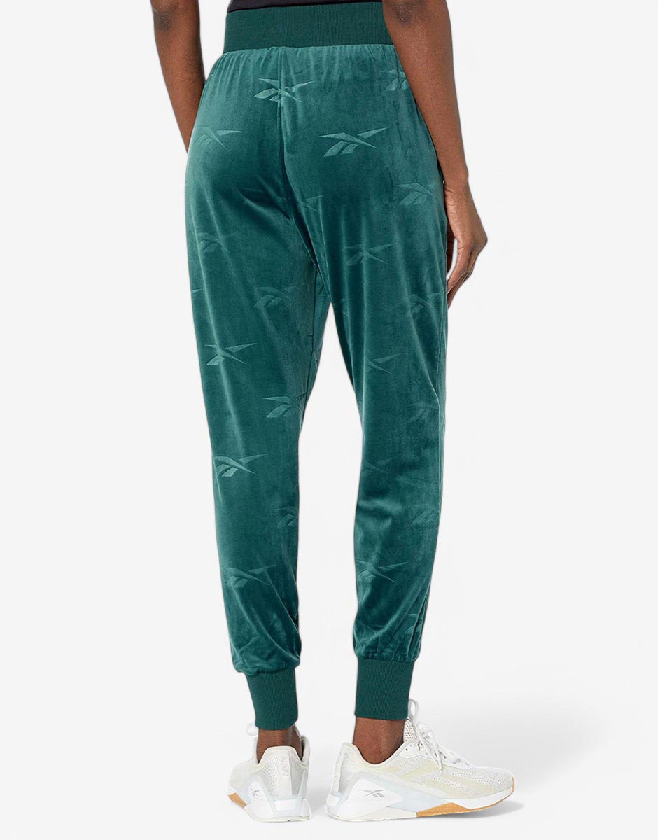REEBOK Classics Energy Q4 Velour Pants Teal