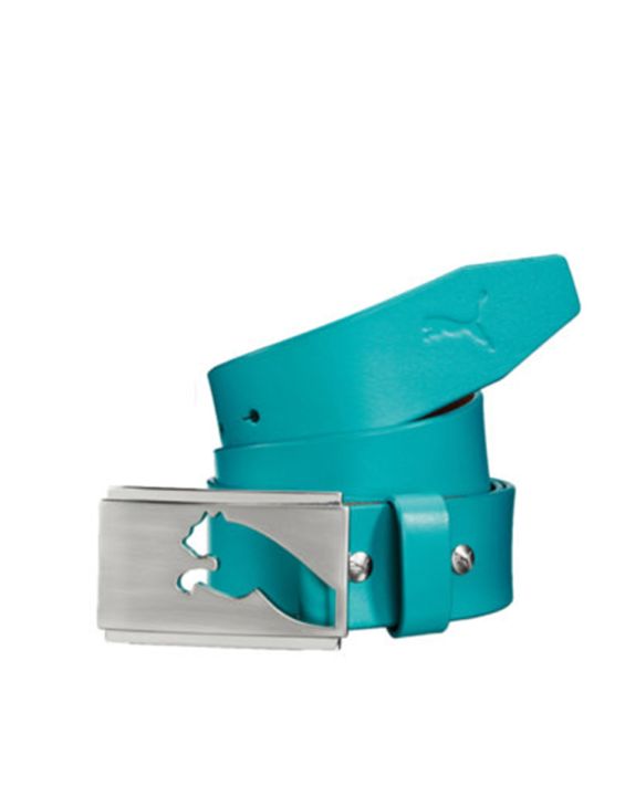 'PUMA Golf Mens Formstripe Belt Green