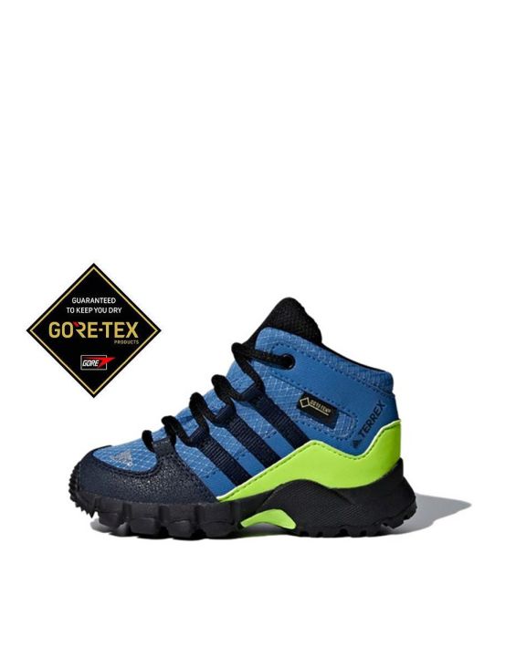 'ADIDAS Terrex Mid Gtx I Blue