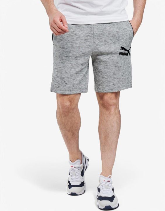 'PUMA EvoTec Shorts Grey