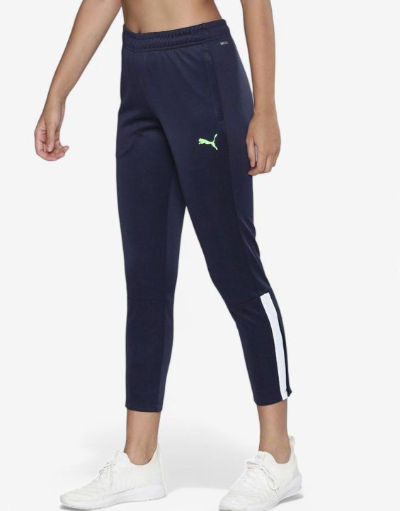 'PUMA Individualliga Training Pants Blue