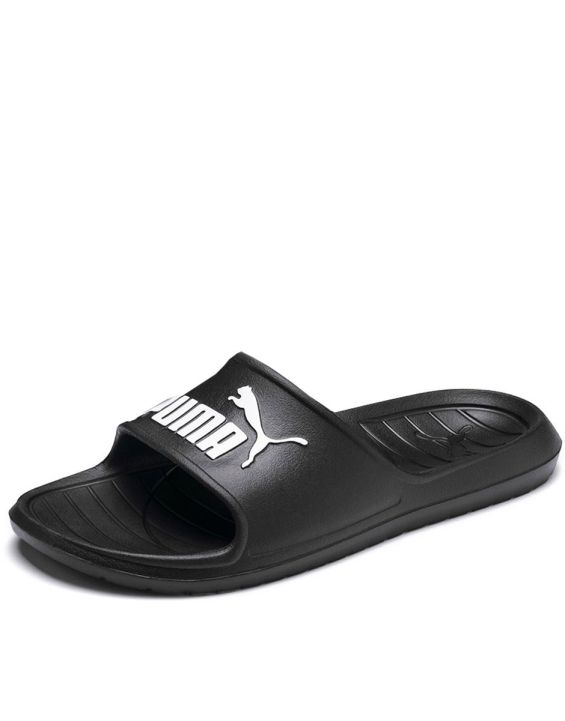 'PUMA Divecat v2 Slides