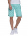 MZGZ Frosty Bay Green Shorts