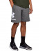 UNDER ARMOUR Sportstyle Cotton Graphic Shorts Grey