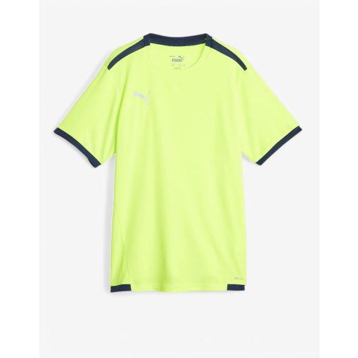 PUMA TeamLiga DryCell Football Tee Green