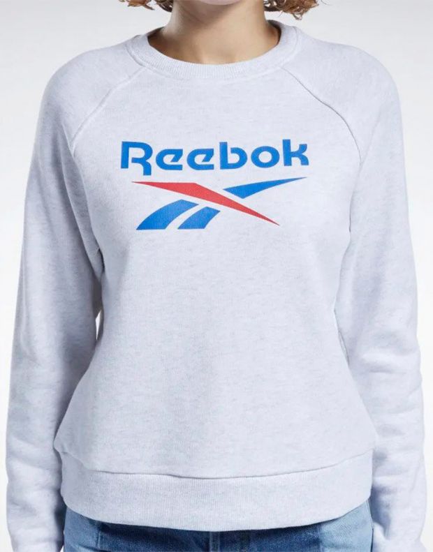 REEBOK Classics Big Vector Crew Sweatshirt Light Grey - FT6225 - 3