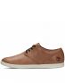 TIMBERLAND Ful Low LP - A17S1 - 1t