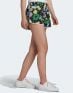 ADIDAS Floral Shorts Multicolor - H15787 - 3t