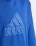 ADIDAS Sportswear Future Icons Logo Hoodie Blue - HR6303 - 5t