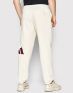 ADIDAS Sportswear Future Icons Pants Beige - HA1399 - 3t