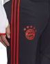 ADIDAS x FC Bayern Munich Training Pants Black - HB0631 - 4t