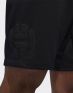 ADIDAS Harden Capsule Shorts Black - CW6916 - 5t