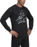 ADIDAS Heavy Graphic Crew Sweatshirt Black - DZ4660 - 3t