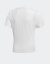 ADIDAS Jungle Printed T-Shirt White - D98880 - 2t