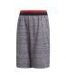 ADIDAS Manchester United Knit Kids Shorts Grey - CV6187 - 1t