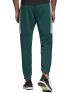 ADIDAS Must Haves Graphic Joggers Green - FT9243 - 2t