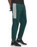 ADIDAS Must Haves Graphic Joggers Green - FT9243 - 4t