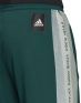 ADIDAS Must Haves Graphic Joggers Green - FT9243 - 6t