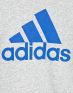 ADIDAS Performance Logo Sweatshirt K - AB5760 - 3t