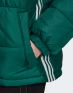 ADIDAS Padded Hooded Puffer Jacket Green - GE1293 - 6t