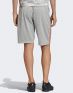 ADIDAS Tan Tech Long Shorts Grey - FM0858 - 2t