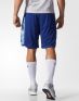 ADIDAS ClimaCool 365 Shorts Blue - AY4430 - 2t