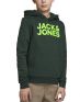 JACK&JONES Denni Sweat Hoodie Spruce - 12189658/spruce - 1t