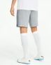 PUMA teamFINAL Casualsl Shorts Grey - 657387-33 - 2t