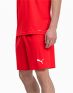 PUMA Liga Core Shorts Red - 703436-01 - 3t