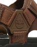 TIMBERLAND Windham Trail Sandals Brown - TBOA1VVYD711 - 6t