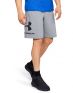 UNDER ARMOUR Sportstyle Cotton Shorts Grey - 1329300-035 - 1t