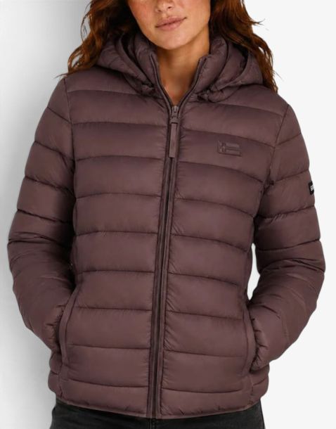 GEOGRAPHICAL NORWAY Atichoko Puffer Hoodie Jacket Brown