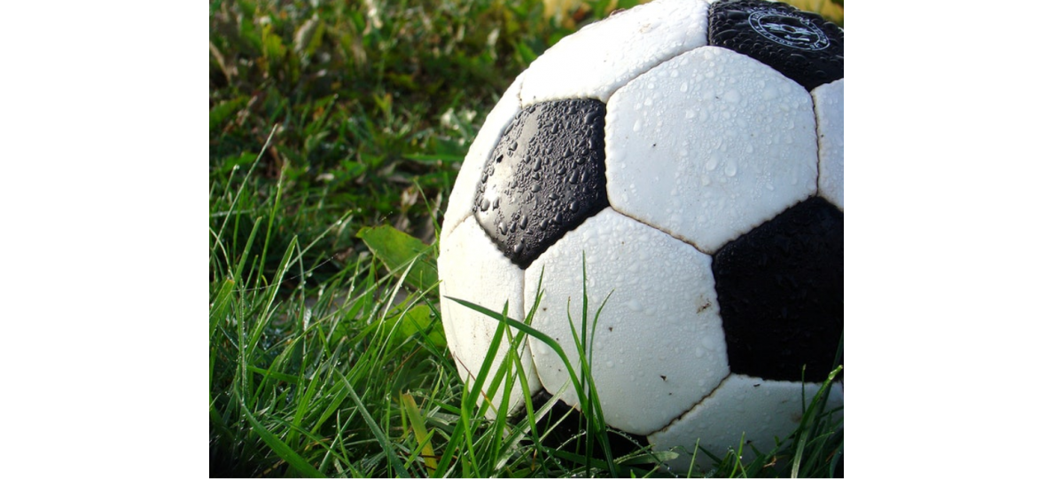 Видове футболни топки